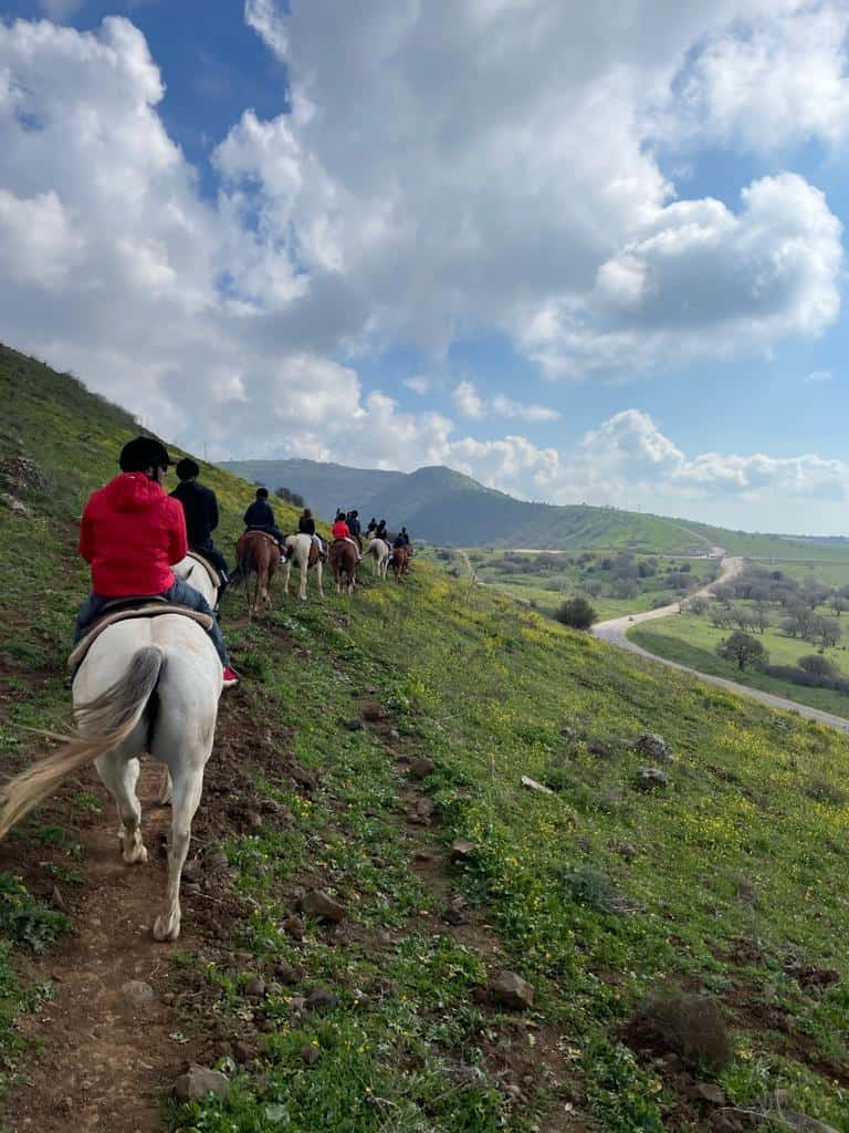 חוות הבוקרים סוסים