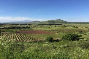 להכיר את הטבע מקרוב- אקותוריזם- שומרי הגולן