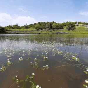 טיול מעיינות | מעיינות ברמת הגולן