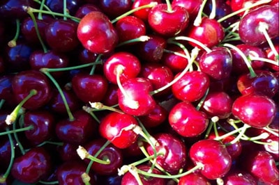 Self-picking משק מלול