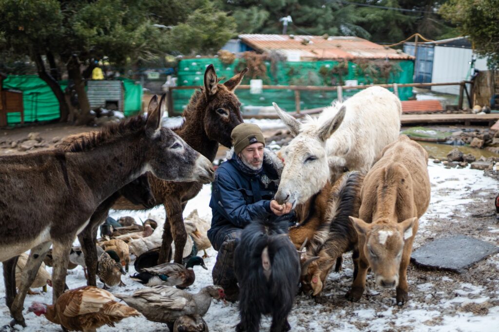 חוות החופש ביער אודם