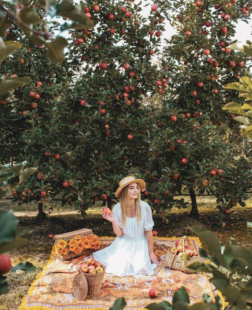 פארק הבוסתן תפוחים