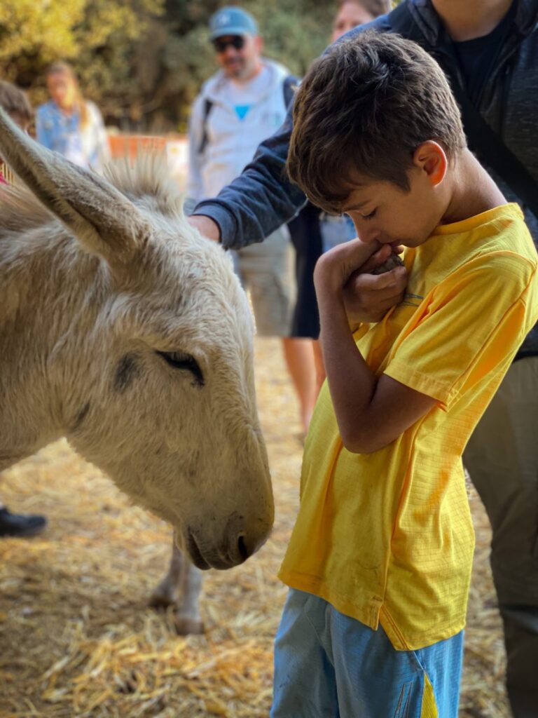 מה לעשות בגולן | תיירות גולן