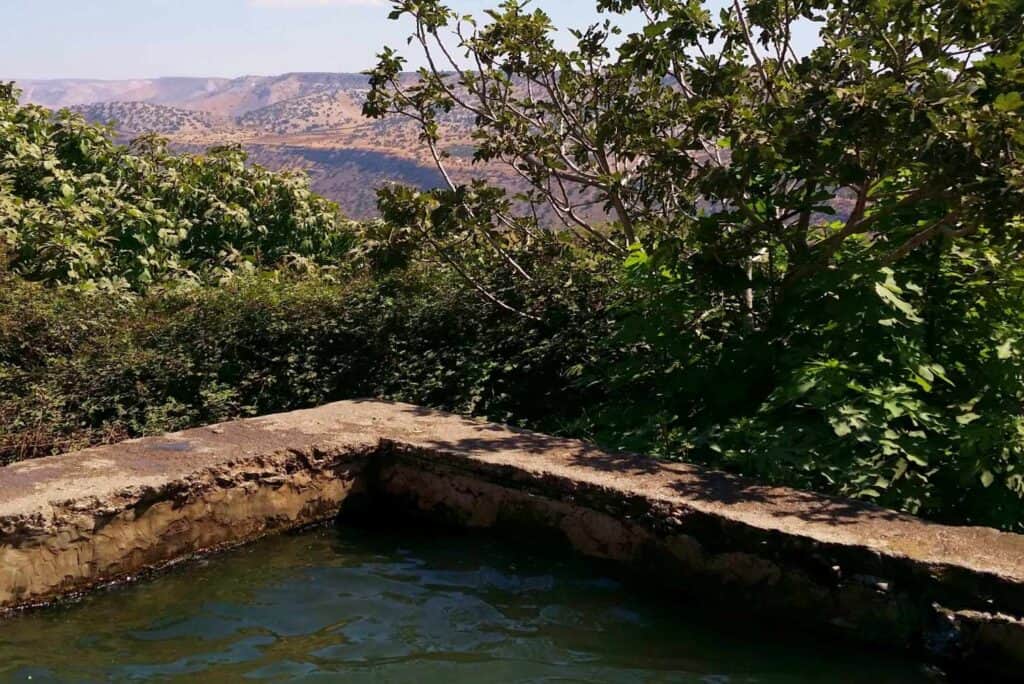 עין איה בריכה