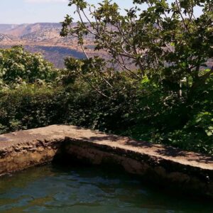 עין איה בריכה