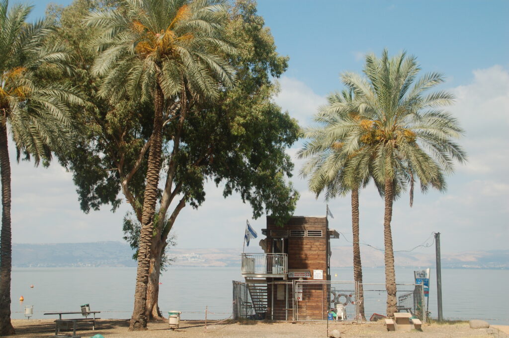 חוף דוגית קמפינג