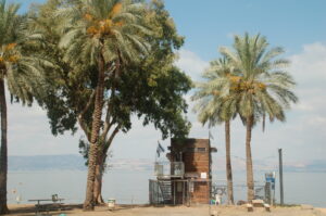 חוף דוגית קמפינג