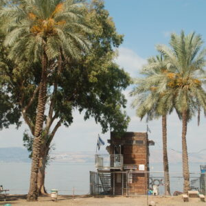 חוף דוגית קמפינג