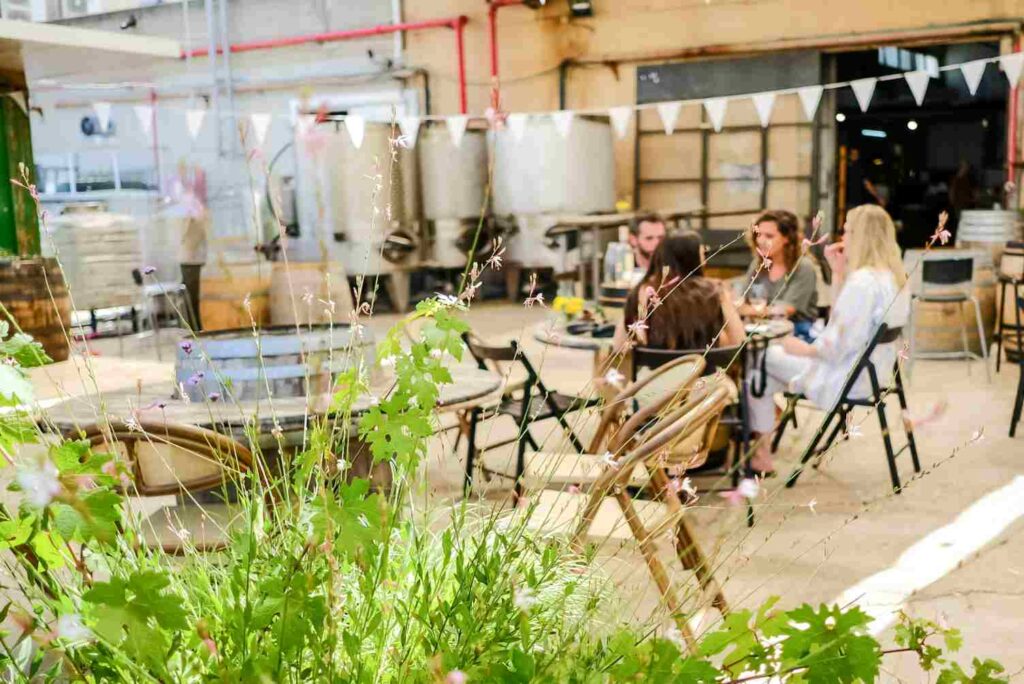 יקב פלטר עין זיוון