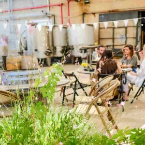 יקב פלטר עין זיוון