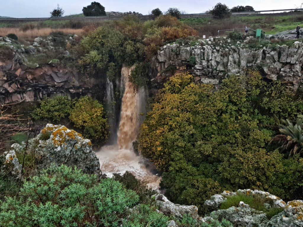 מפל עיט לימור הולץ