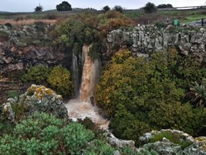 מפל עיט לימור הולץ