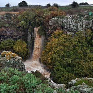 מפל עיט לימור הולץ
