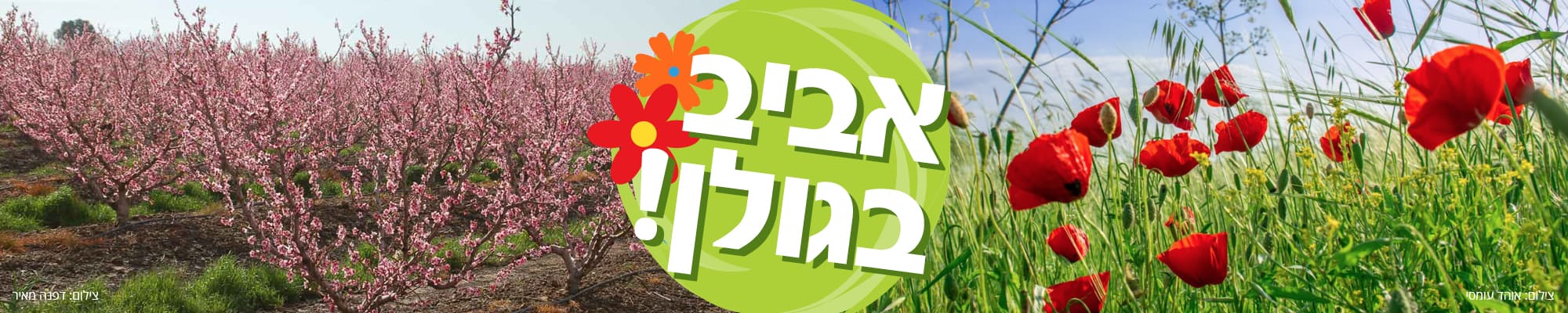 אביב בגולן תיירות