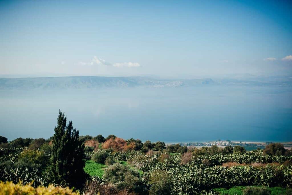 מצפה השלום עדי פרץ