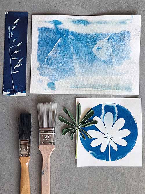 סדנת הדפס סיאנוטייפ