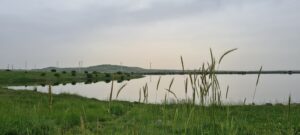 RTS נתיבי מים בע”מ