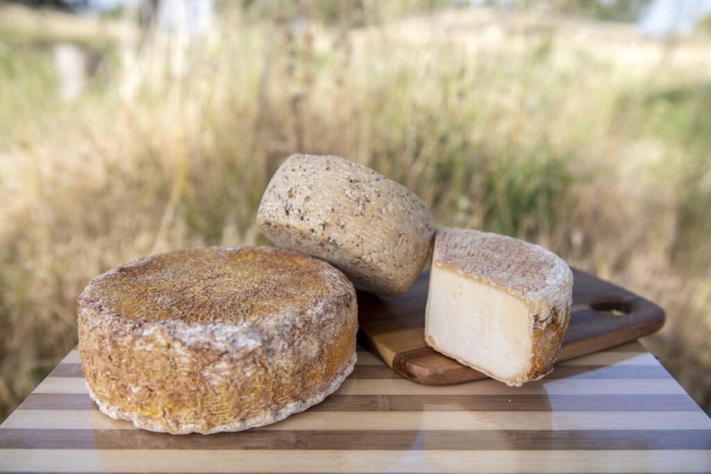 מגבנת מינאס