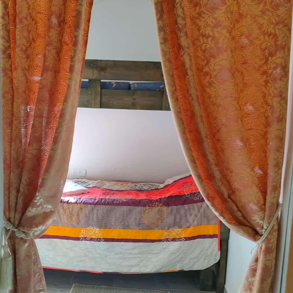 פריחה כתומה