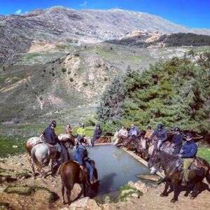 חוות האושר רכיבת סוסים