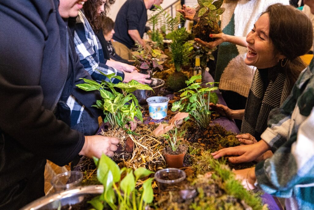 סדנאת קוד האדמה
