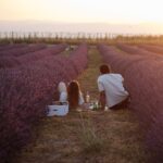 פיקניק בשדה הלבנדר בנוביקס