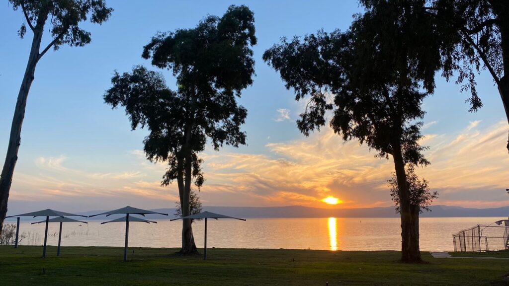 חוף דוגה כנרת