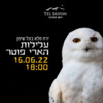 סוד הקסם של הארי פוטר