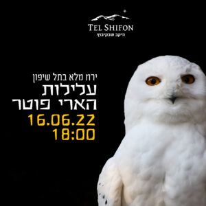 סוד הקסם של הארי פוטר