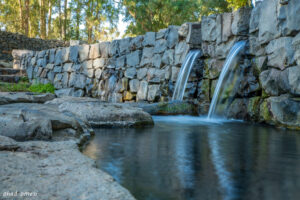 The Eden Springs (Salukia)