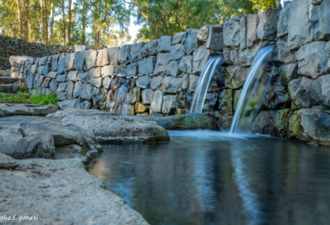 אוהד אומסי-עין סלוקייה03- לשימוש באתר בלבד