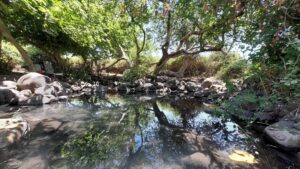 עין פחורה Photography יהודה ויינברג