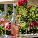 טו באב ביקב בהט