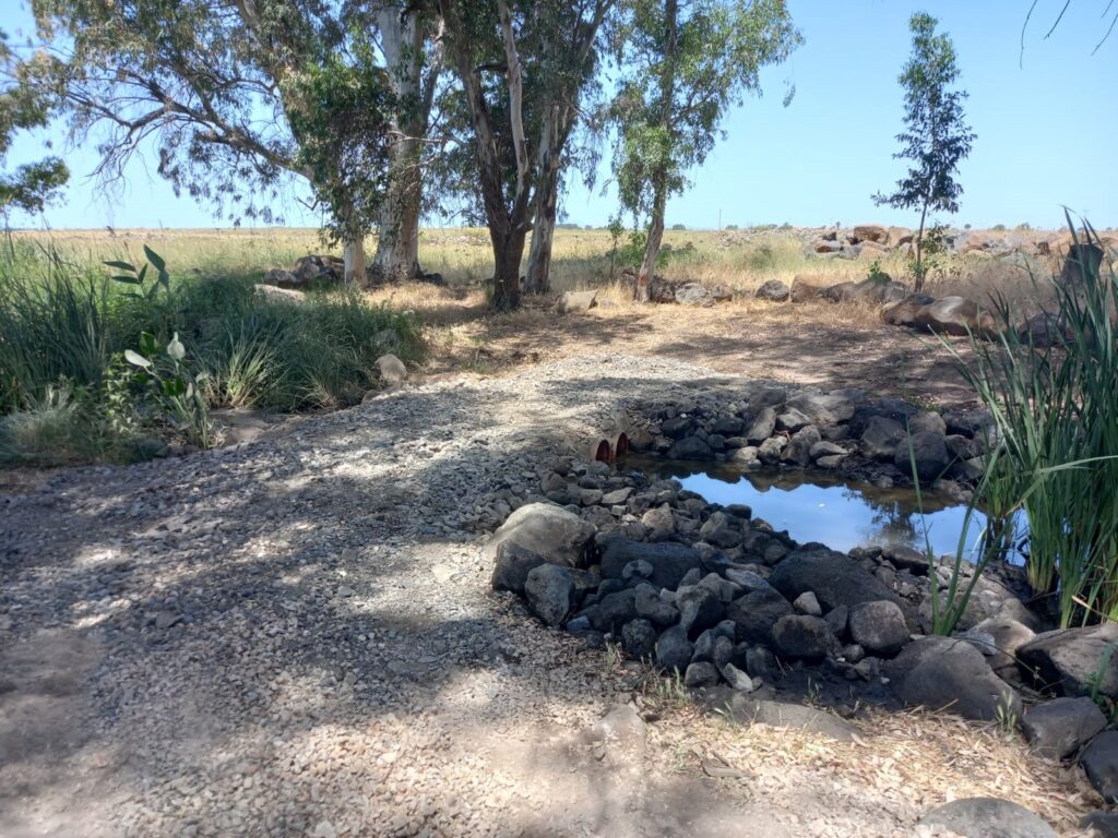חורשת אבינועם