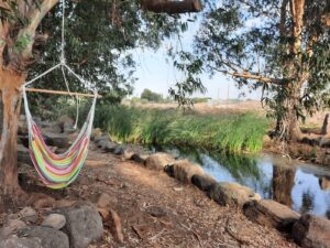 חורשת אבינועם