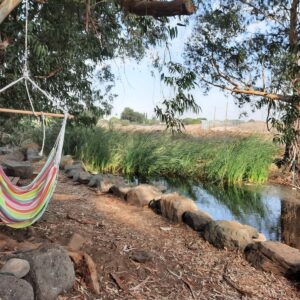 חורשת אבינועם