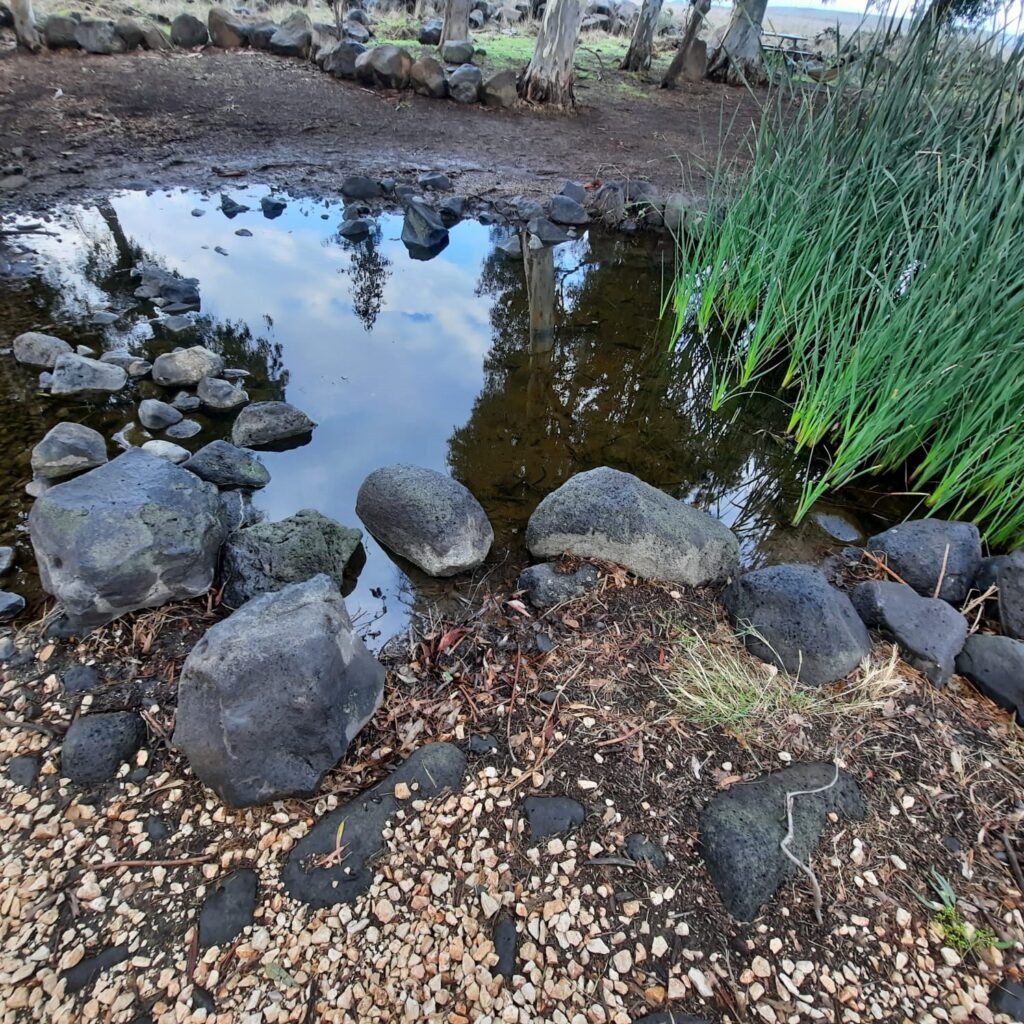חורשת אבינועם