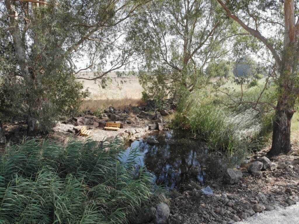 חורשת אבינועם