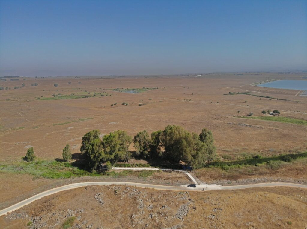 חורשת אבינועם