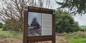 The Fig and the Cedar Memorial