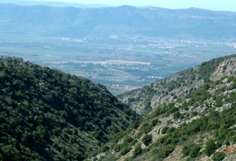 נוף נחל חזורי