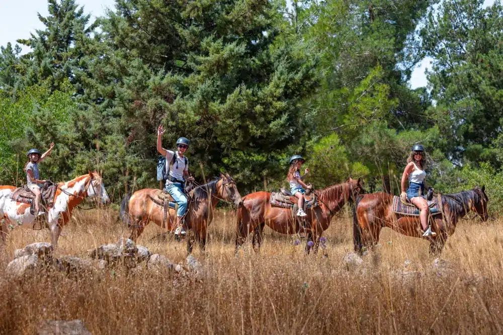 חוות האושר Photography גר יואב פלמה