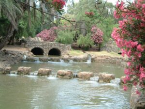 אטרקציות ברמת הגולן לזוגות