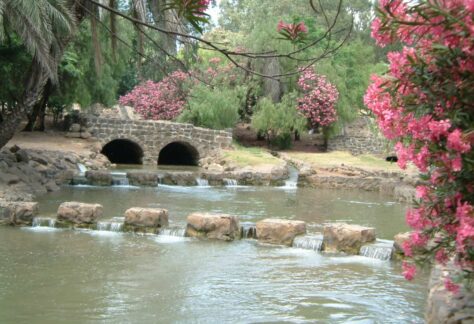 אטרקציות ברמת הגולן לזוגות