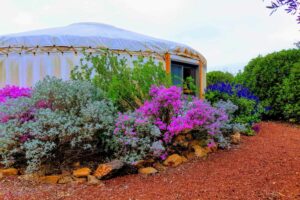 אוהלים ממוזגים רמת הגולן