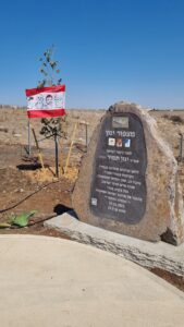 מצפור ינון תמיר