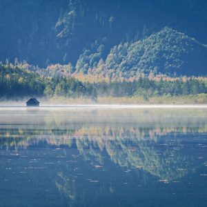 SIMPLY SMART בדיקה