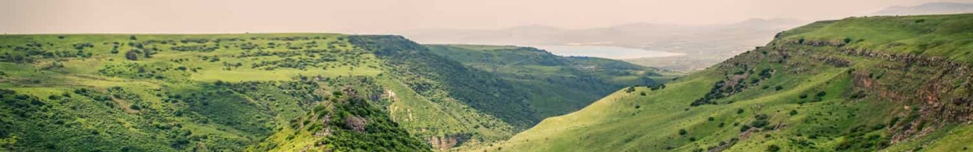 שמורת גמלא | תיירות גולן