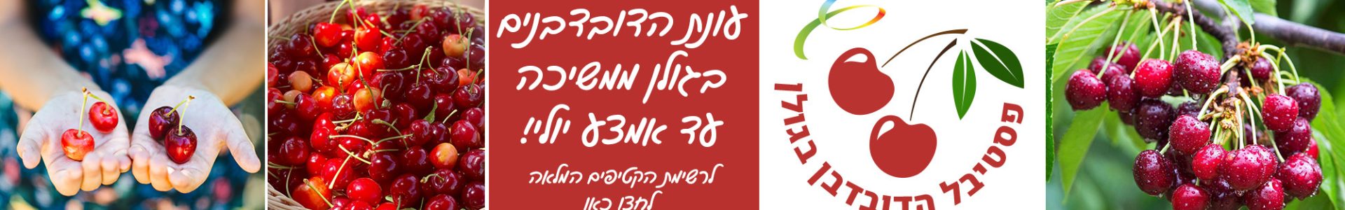 עונת הדובדבנים בגולן ממשיכה עד אמצע יולי